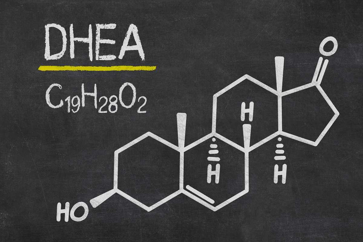 High and low DHEA levels in men and women
