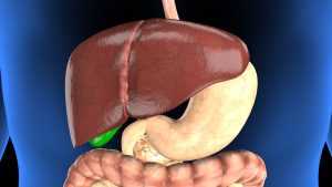 trt and fatty liver 2