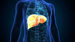 trt and fatty liver 3