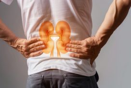 Protecting Your Kidneys While on TRT: A Comprehensive Guide