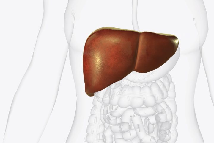 trt and liver 1