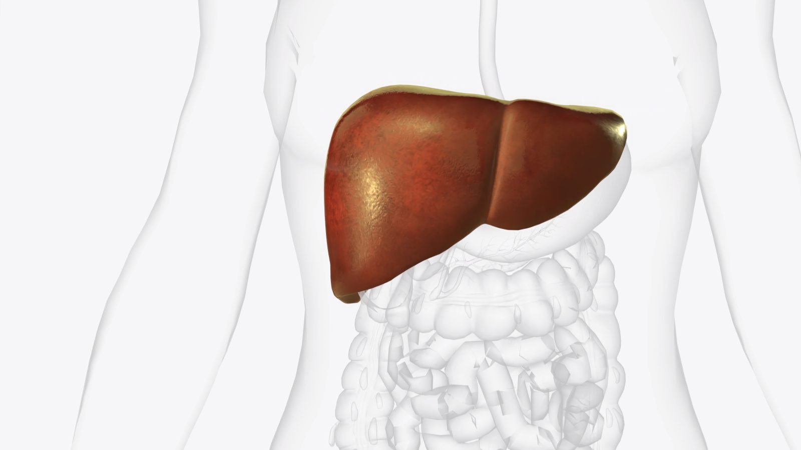 trt and liver 1