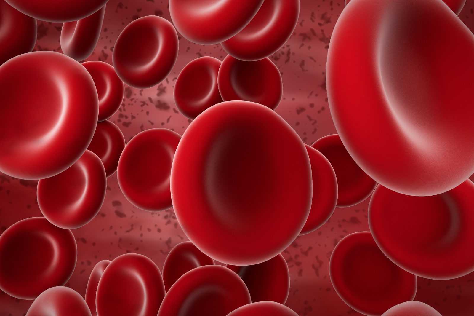 testosterone therapy and red blood cells 1