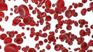 testosterone therapy and red blood cells 2