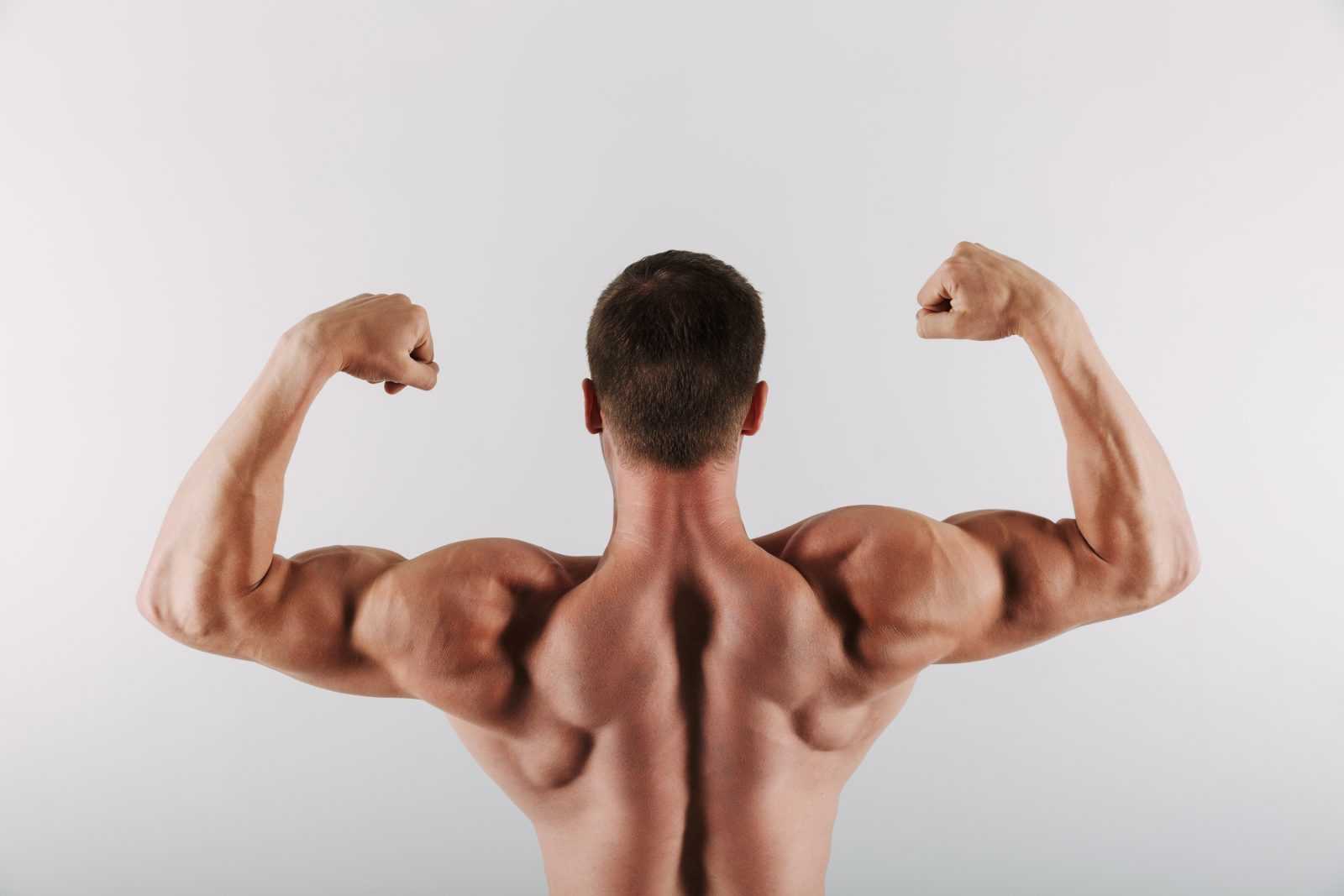 testosterone therapy for muscle growth 1