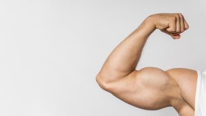 testosterone therapy for muscle growth 2