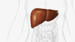 testosterone therapy liver enzymes 2