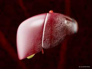 testosterone therapy liver enzymes 4