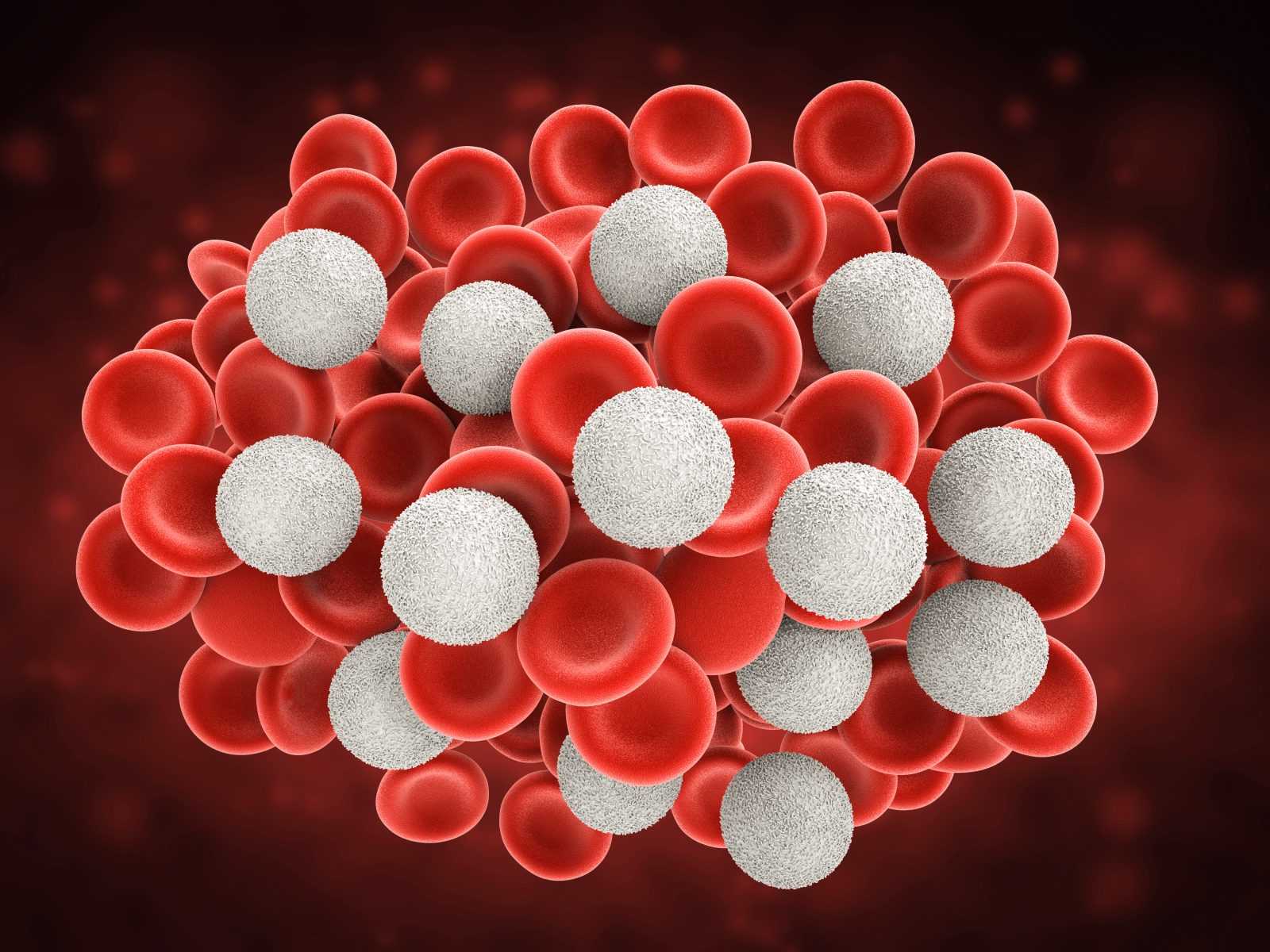 low t lymphocytes 1