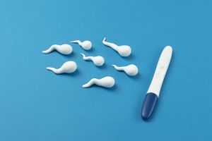 low t and fertility 3