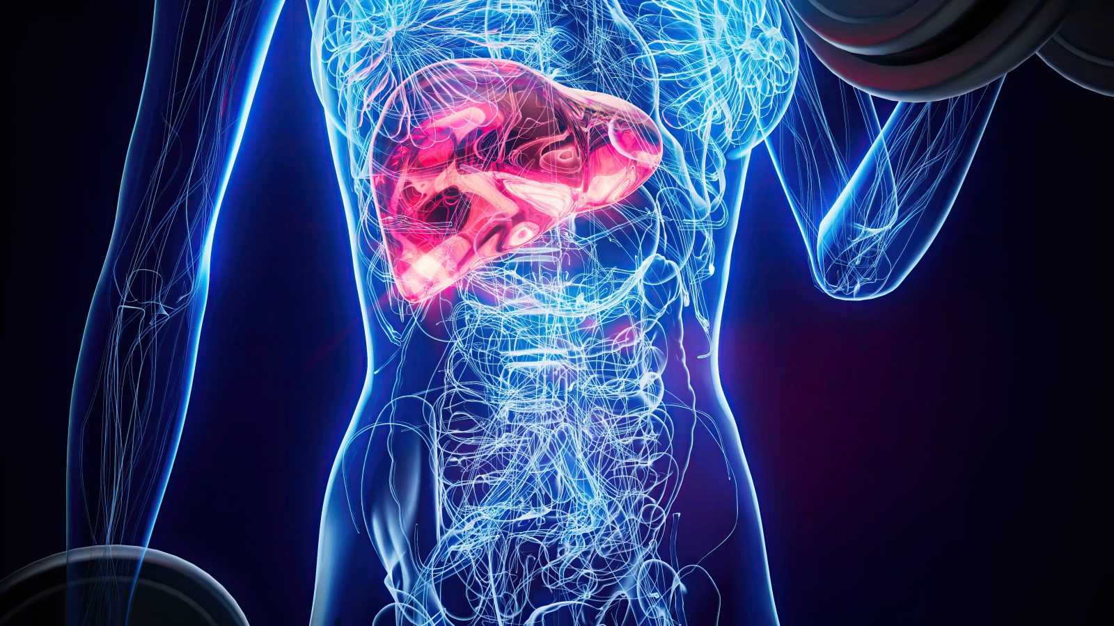 testosterone therapy and liver function 1