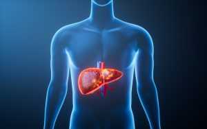 testosterone therapy and liver function 2