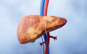 testosterone therapy and liver function 4