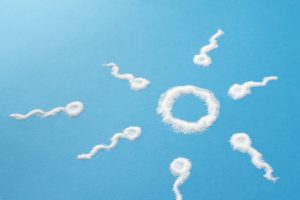 trt and sperm count 3